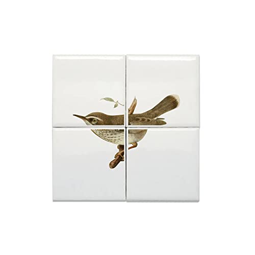 Carreaux Céramique Oiseau Séricorne aux détails fins d'illustration ancienne