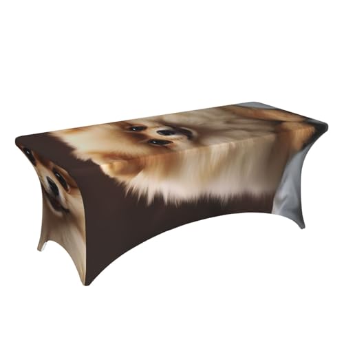 Nappe élasthanne rectangulaire lavable motif Poméranie table