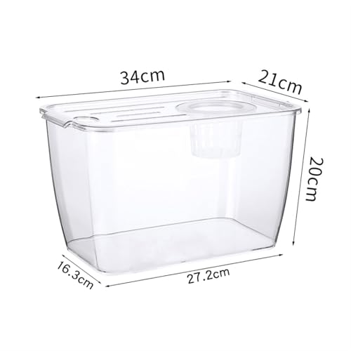 Acuario cuadrado acrílico para decoración de escritorios y organización 3