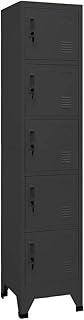 GOLINPEILO Metal Locker Cabinet with 5 Lockers, Employees Locker Storage Cabinet School Hospital Gym Locker Storage Cabinet, 15