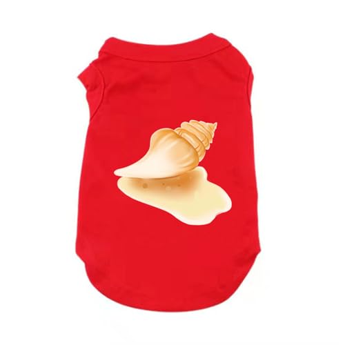 [XANPYO] ybg tH~ Lm ʋC t _炩 Vc L 킢  t  H I[V[Y  _炩 lGʗp  ybg q ^ ` h XL p Eѕی іh~