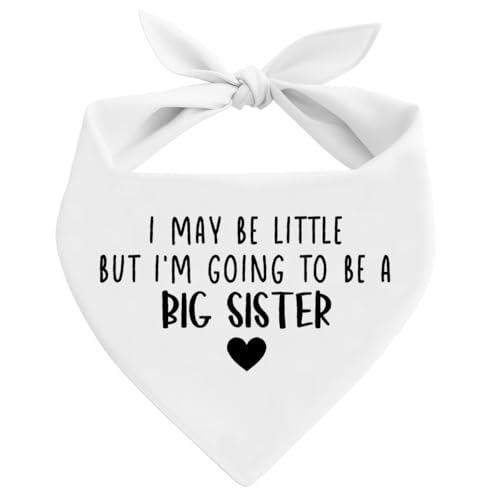 Big Sister Dog o_iAzCgybg̃XJ[tANZT[ADP̂m点AybgpOp`}t[A^^pybgpo_i