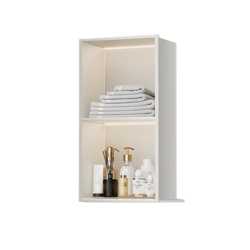 Armoire murale étanche Sto Solut en acier inoxydable de qualité supérieure avec douche LED