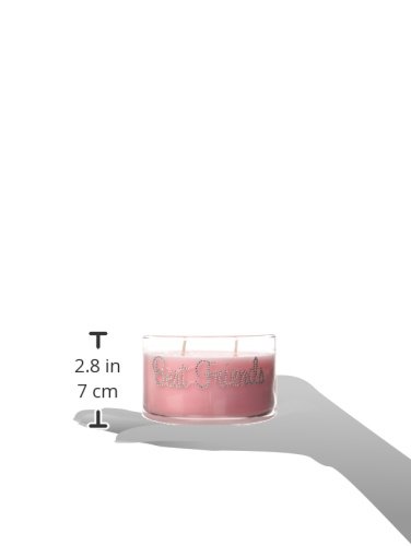 Primal Elements Best Friends Wish Candle, 11-Ounce #TOP4