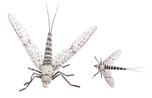 Synthfly Lifelike Mayfly Pack of 8 Mayflies for Fly Fishing (Gray & Brown Drake in Sizes 10, 12, 14 and Danica in Sizes 10, 12) - Thumbnail 3