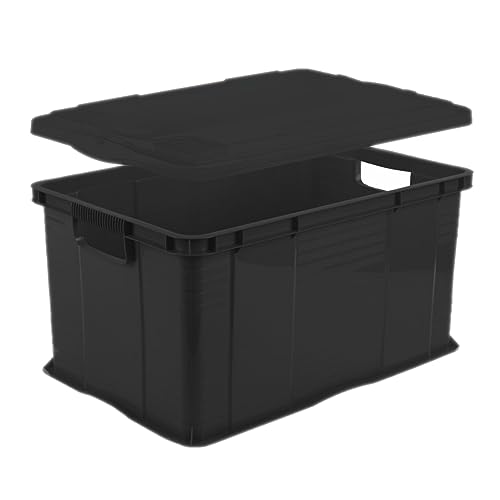 Rotho Agilo Aufbewahrungsbox 55l, Kunststoff (PP) BPA-frei, schwarz rezykliert, A3/55l (59.0 x 39.0 x 31.0 cm)