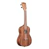 Kala Brand Music Co. Teak Collection, 4-String Ukulele, Natural, Concert (KA C) (KA-TEAK-C)