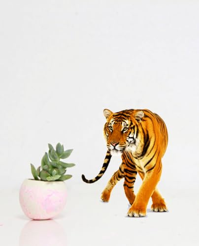 Decals Creation Big Tiger Wall Sticker for Living Room, Kids Room, Pooja Room (Size - 50CM X 40CM)