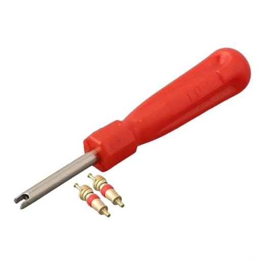 Yuanpgky Kit de herramientas de servicio de recipiente de expansión de caldera con válvula de núcleo para sistema de calefacción central y recipientes a presión de caldera de gas, juego de accesorios