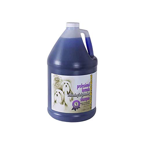 Best Shampoo For Lhasa Apso In 2021 Best Dog Grooming Tips