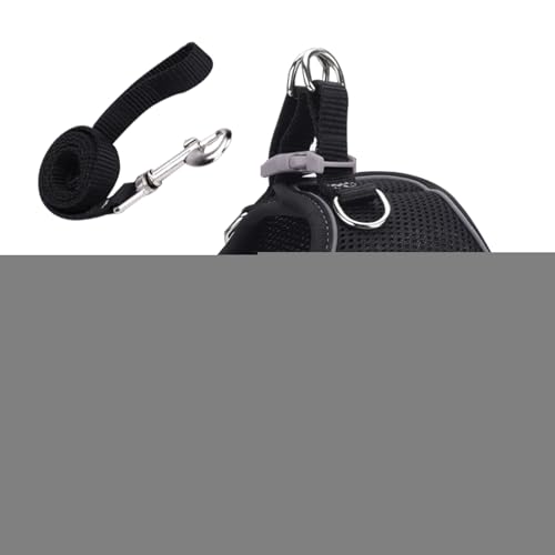 Eh~ Lpn[lX, \tgbVxXg ːSXgCvt, q ^ ybgp xXg  Sg[jO U s nCLO obNpbN AEghA `p