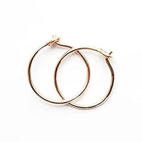 Algopix Similar Product 16 - Small 14k Rose Gold Fill Hoops