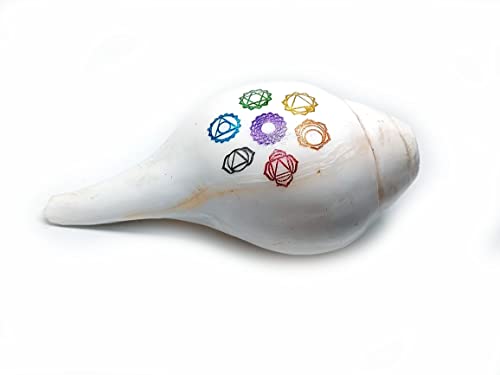Astroghar Natural Original Lakshmi Sacred Shankh with Reiki Chakra Symbols Engraved Counch Conch Shell Shankh for Pooja Blowing Shankh