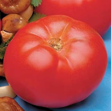 Park Seed Variety of Tomato Seeds, Planting Vegetables, Easy to Grow, Non-GMO, Perfect for Harvesting, Beefmaster Hybrid, Pack of 30