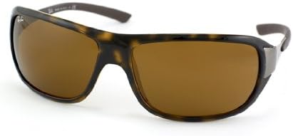 ray ban 4120