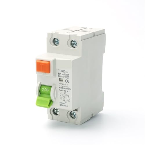 Disjoncteur différentiel Type S 63A 100mA 2 pôles pour protection électrique durable