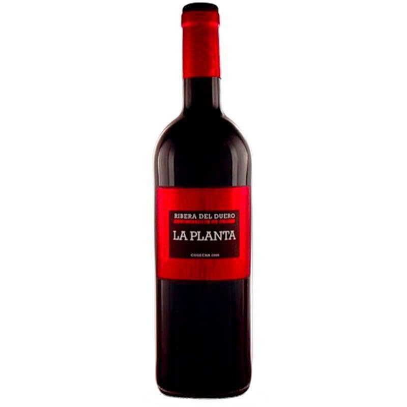 La Planta – Vino Tinto Elegante | Frutos Rojos, Notas de Cacao y Café | Fresco, Carnoso y Equilibrado (Pack de 2 Botellas)