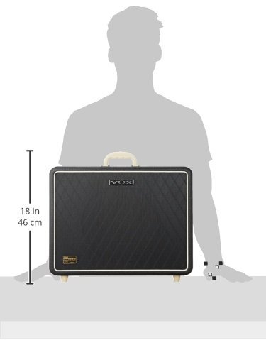Amazon.com: Vox Night Train NT15C1-G2-15W 1x12