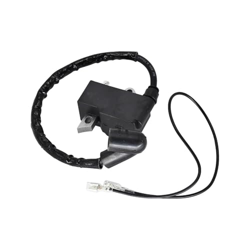 Module de bobine d'allumage 545046701 compatible pour 530039224 124C 124R