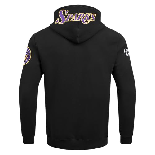 Image of Pro Standard Mens WNBA Classic Chenille Pull Over Hoodie