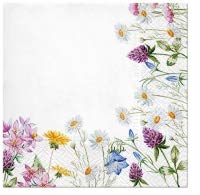 PAW Decor Collection 3Ply Flowery Tissue Paper Napkins Serviettes for Decoupage 33cm x 33cm - Pack of 20 (Spring Frame)