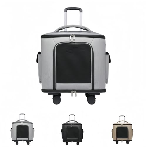 ShineLuxeybgL[ ybgpxr[J[ LL[obO LE^pLX^[t @\bN ʋC }bgt UɓKĂ܂ (O[)