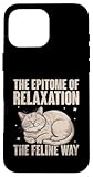 Cat Lover Gifts for Pet Cats Enthusiast Pet Lover
