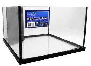 bully max hip and joint