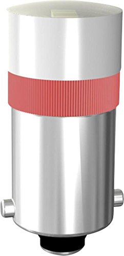 Y Course Preview Dvd