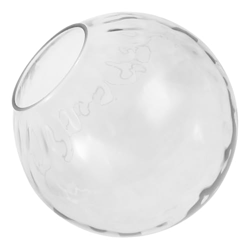 Toyvian Glass Globe Lamp Shade Ceiling Light Cover Clear Glass Pendant Lampshade Replacement with Rounded Edges Elegant Decorative Fixture Cover for Living Lighting