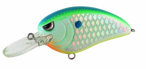 SPRO Fishing Little John Medium Diving Crank Bait-Pack of 1, Citrus Shad