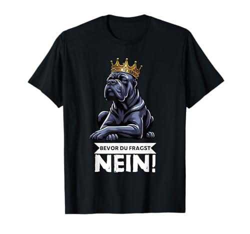 Bevor Du Fragst Nein Cane Corso Italienischer Mastiff T-Shirt