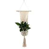 Adecuado para jardines de balcón, proyectos de jardinería, textiles del hogar, jardines de oficina, centros comerciales, guarderías, etc.