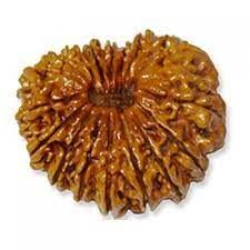 Retrend DesignNatural & Original a Original Certified Nepali Pure Eighteen 18 Face Rudraksha with Silver Capping Blessed by Maa Bhumi Devi for Mala Making