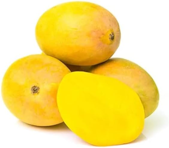 Fresh Mango, Alphonso Ratnagiri, 6 Pieces, (Approx. 180g/Pc)