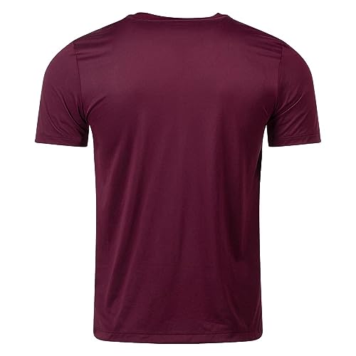 Nike Nike Team rLegend Tee DV7299