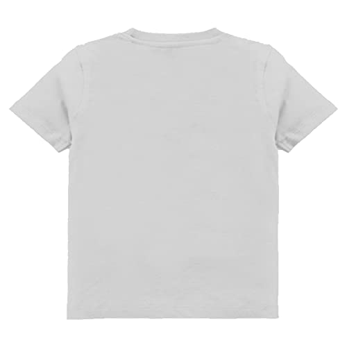 Image of kiddeo Boys Cotton Halfsleeve T Shirts (Pack of 3)