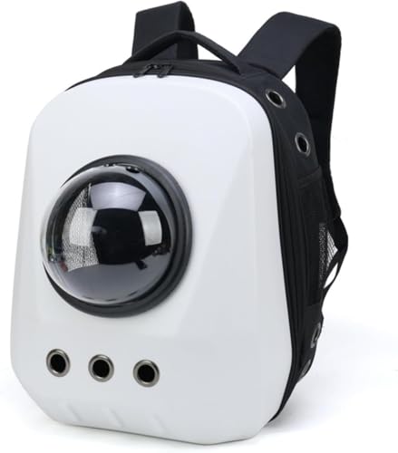 Riuuyyi ybgL[obO ^ LbN L[obO FD JvZ LX y ybgobO ^p obO LpobNpbN (zCg)