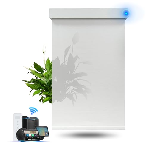 Blindify Upgraded Smart Blinds