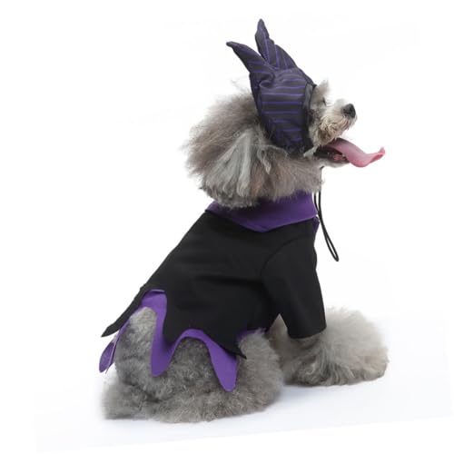 Disfraz de Bruja Halloween para Perro Tamaño L miniatura 7