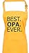 Shirtstown Fartuch kucharski, najlepszy dziadek Ever, fartuch fartuch grillowanie jedzenie gotowanie kuchnia hasło logo rodzinne przyjaciele miłość, kolor Sunflower