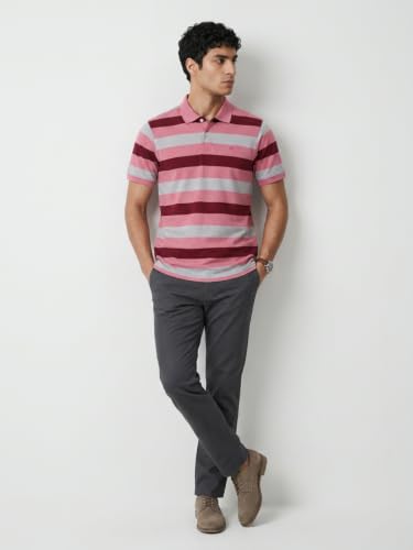 Image of Raymond Men Modern Fit Stripe Pattern Pure Cotton Polo Neck Half Sleeve Casual T-Shirt