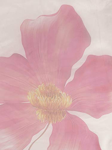 Womanista Organza Floral Print Saree With Blouse Piece(WM1312_ Off White & Pink_ One Size)