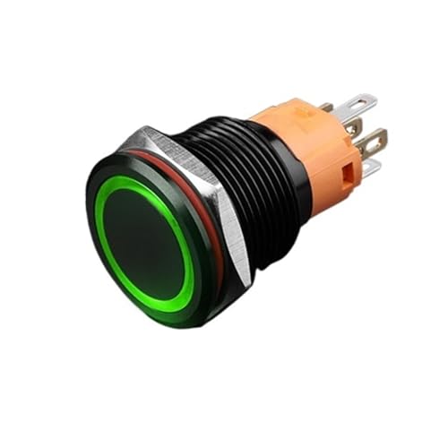 Interrupteur à verrouillage 19mm 1NO1NC avec voyant LED vert 220V