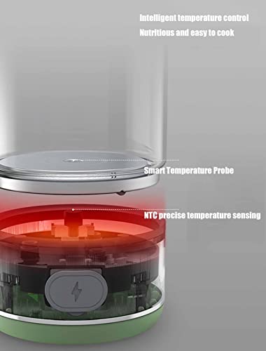Tetera eléctrica de vidrio con control de temperatura miniatura 6