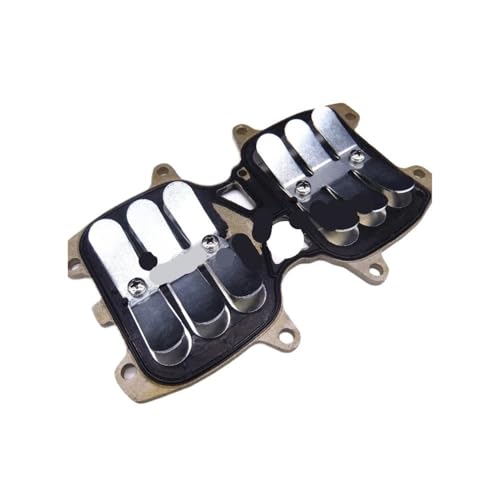 Clapets d'admission pour moteur hors-bord 2 temps T30 T40 BM T40-05030000