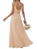 Ever-Pretty Women's Spaghetti Straps Evening Gown V-Neck A-Line Sleeveless Chiffon Backless Maxi Bridesmaid Dresses Blush 10