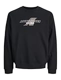 JACK & JONES JUNIOR Jcotier Print Sweat Crew Neck Sn Jnr