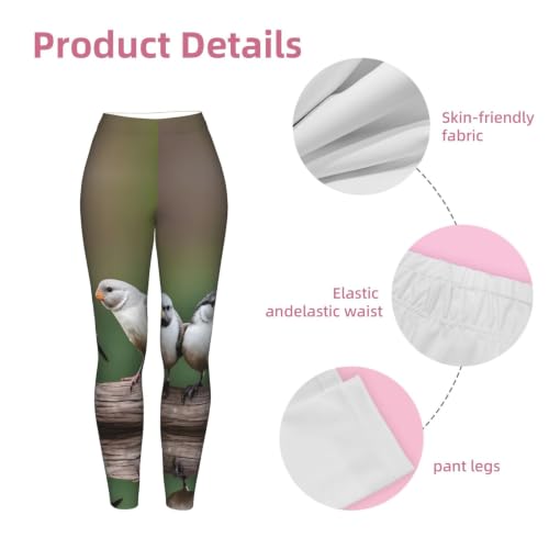 Leggings de compresión de tacto suave y elástico con diseño de tres pájaros 6