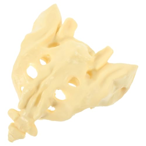 Modèle lisse d'anatomie PVC blanc enseignement formation